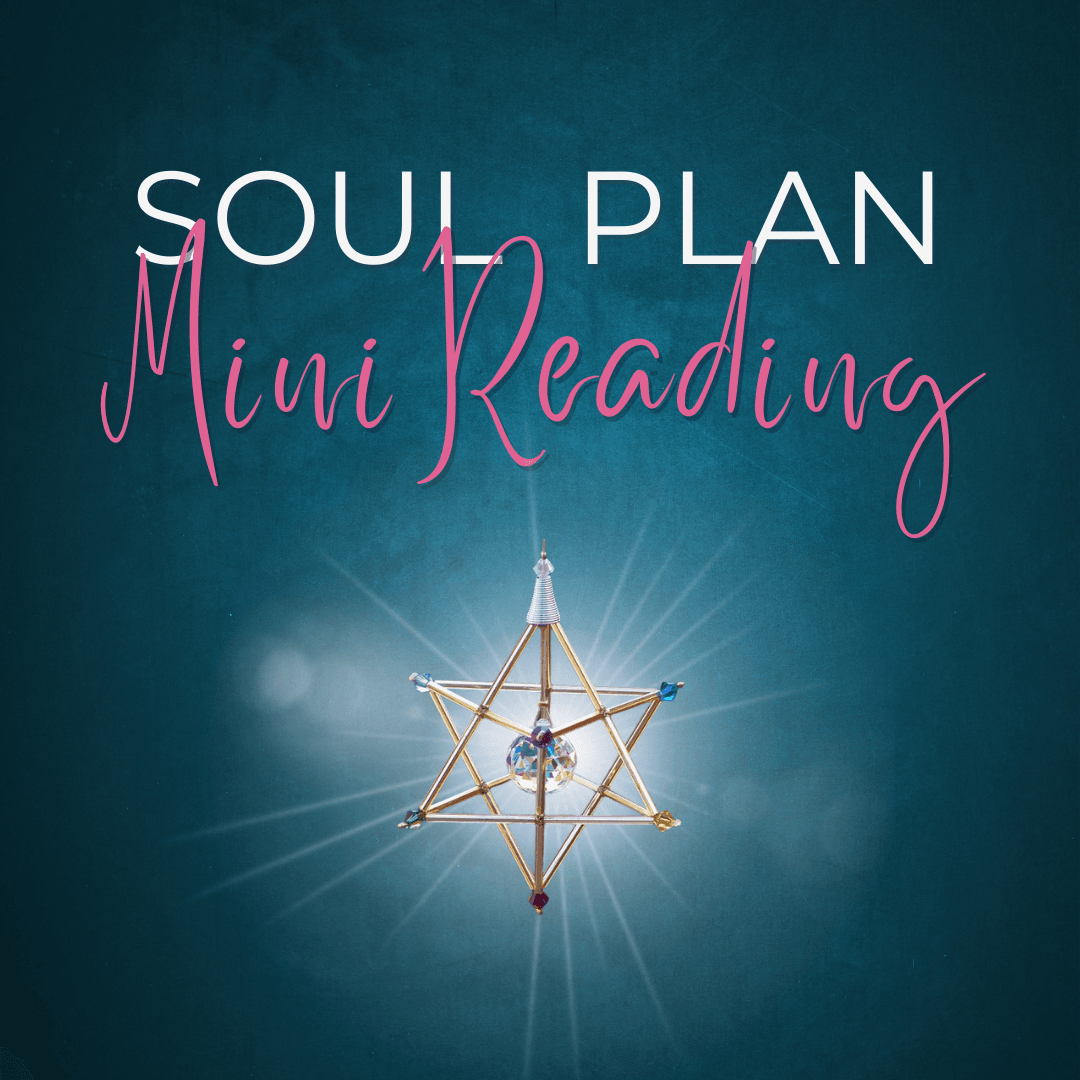 Mini Reading Soul Plan